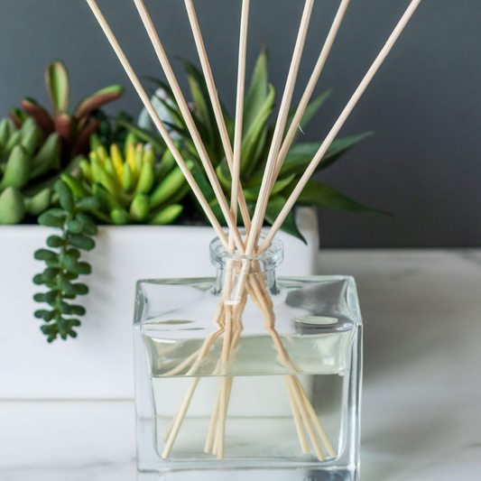 Reed diffusers 100ml - Aftershave dupes